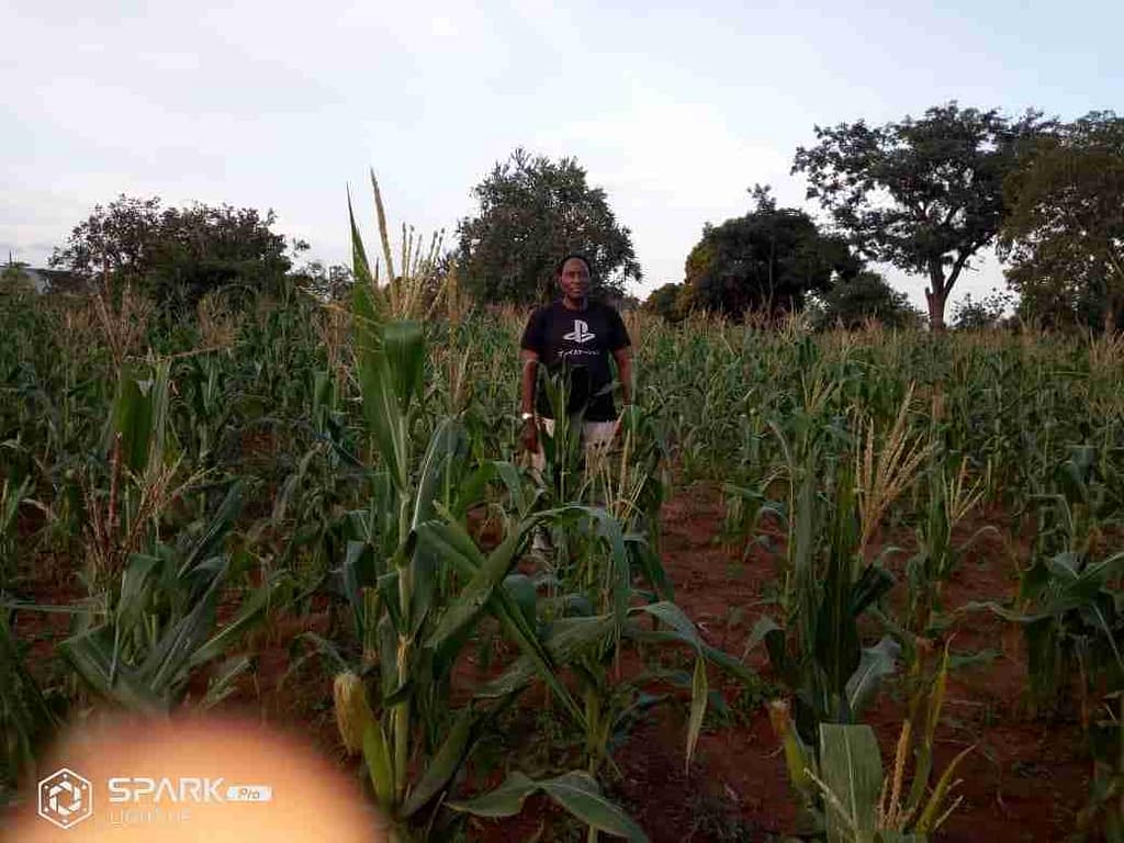 WONDERFUL PROGRESS IN TANZANIA