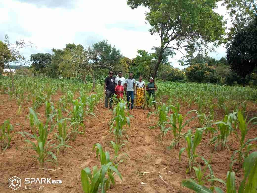 Wonderful Progress in Tanzania 5