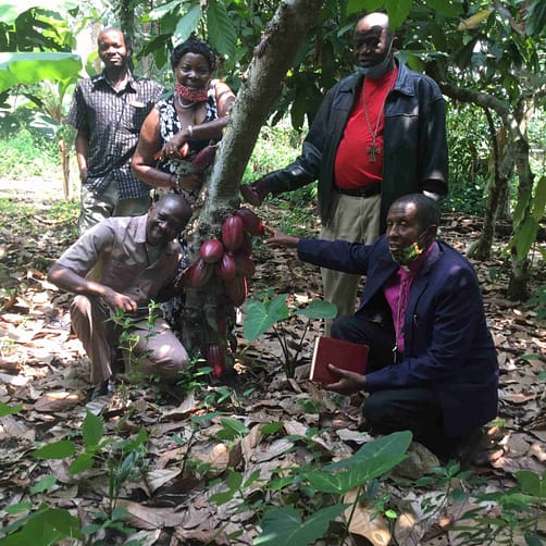 Early Success in UGANDA Cocoa Microbusiness 1